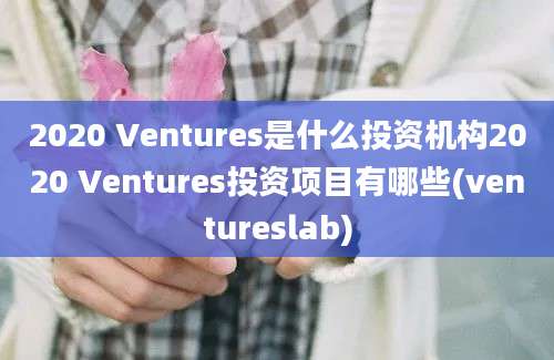 2020 Ventures是什么投资机构2020 Ventures投资项目有哪些(ventureslab)