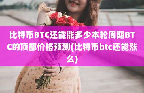 比特币BTC还能涨多少本轮周期BTC的顶部价格预测(比特币btc还能涨么)