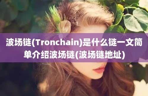 波场链(Tronchain)是什么链一文简单介绍波场链(波场链地址)