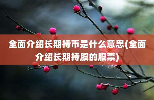 全面介绍长期持币是什么意思(全面介绍长期持股的股票)