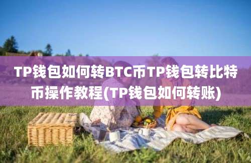 TP钱包如何转BTC币TP钱包转比特币操作教程(TP钱包如何转账)