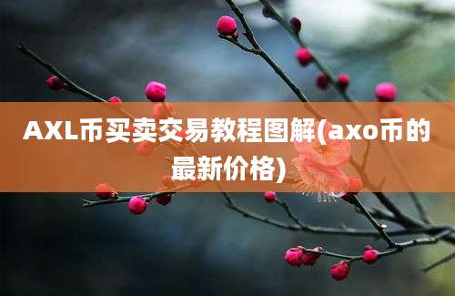 AXL币买卖交易教程图解(axo币的最新价格)