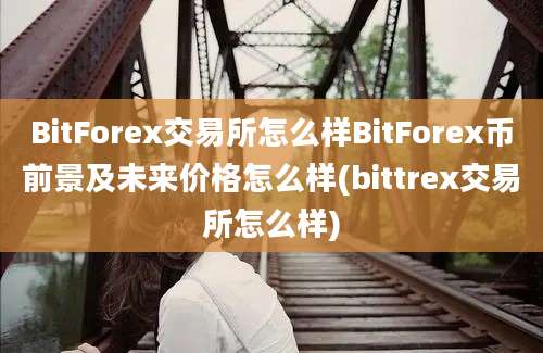 BitForex交易所怎么样BitForex币前景及未来价格怎么样(bittrex交易所怎么样)