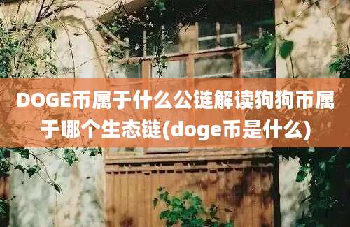 DOGE币属于什么公链解读狗狗币属于哪个生态链(doge币是什么)