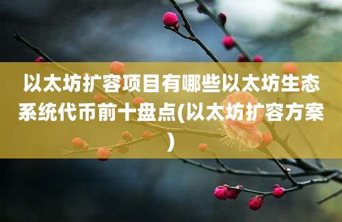 以太坊扩容项目有哪些以太坊生态系统代币前十盘点(以太坊扩容方案)