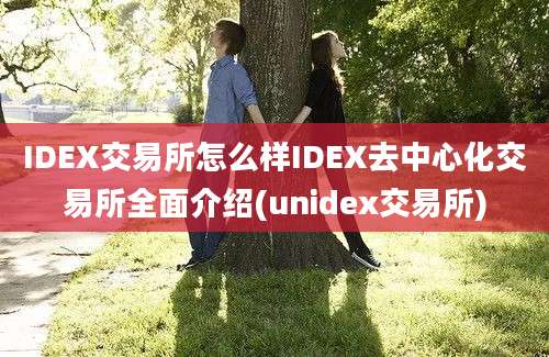 IDEX交易所怎么样IDEX去中心化交易所全面介绍(unidex交易所)