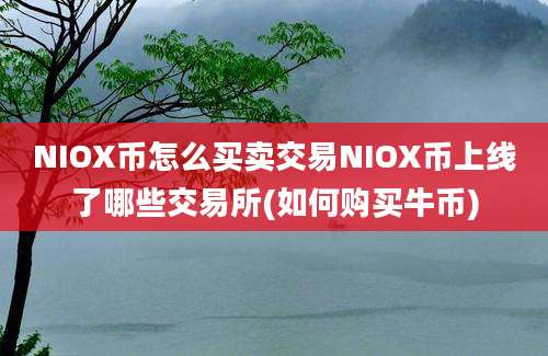 NIOX币怎么买卖交易NIOX币上线了哪些交易所(如何购买牛币)