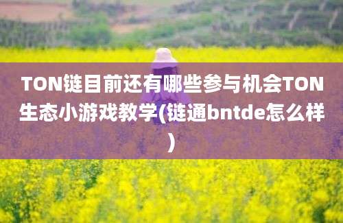 TON链目前还有哪些参与机会TON生态小游戏教学(链通bntde怎么样)