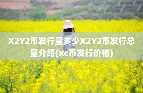 X2Y2币发行量多少X2Y2币发行总量介绍(xc币发行价格)