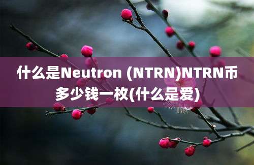 什么是Neutron (NTRN)NTRN币多少钱一枚(什么是爱)