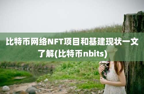 比特币网络NFT项目和基建现状一文了解(比特币nbits)