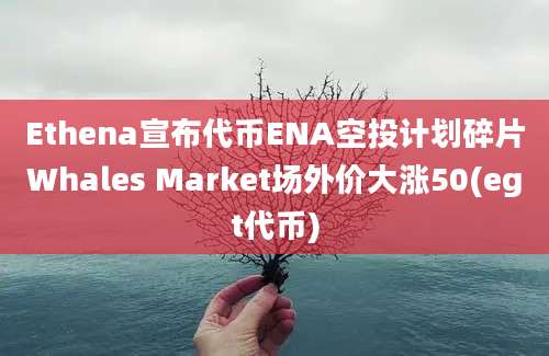 Ethena宣布代币ENA空投计划碎片Whales Market场外价大涨50(egt代币)