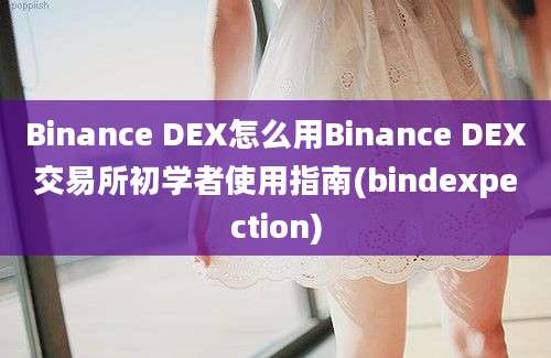 Binance DEX怎么用Binance DEX交易所初学者使用指南(bindexpection)