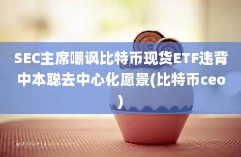 SEC主席嘲讽比特币现货ETF违背中本聪去中心化愿景(比特币ceo)