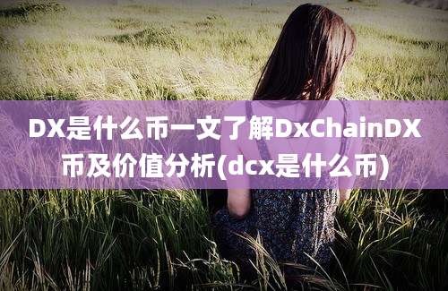 DX是什么币一文了解DxChainDX币及价值分析(dcx是什么币)