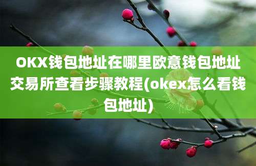 OKX钱包地址在哪里欧意钱包地址交易所查看步骤教程(okex怎么看钱包地址)