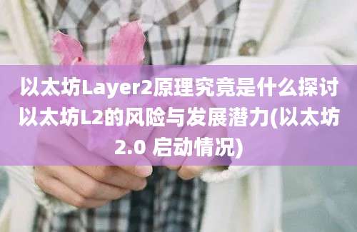 以太坊Layer2原理究竟是什么探讨以太坊L2的风险与发展潜力(以太坊2.0 启动情况)