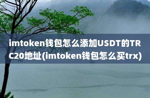 imtoken钱包怎么添加USDT的TRC20地址(imtoken钱包怎么买trx)