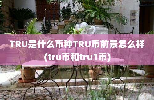 TRU是什么币种TRU币前景怎么样(tru币和tru1币)