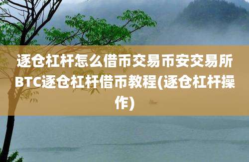 逐仓杠杆怎么借币交易币安交易所BTC逐仓杠杆借币教程(逐仓杠杆操作)