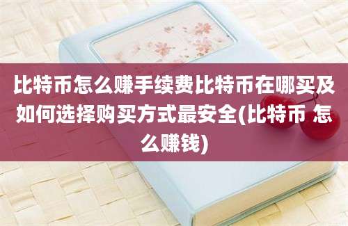 比特币怎么赚手续费比特币在哪买及如何选择购买方式最安全(比特币 怎么赚钱)