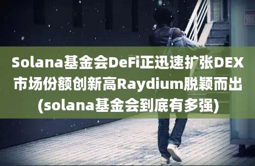 Solana基金会DeFi正迅速扩张DEX市场份额创新高Raydium脱颖而出(solana基金会到底有多强)