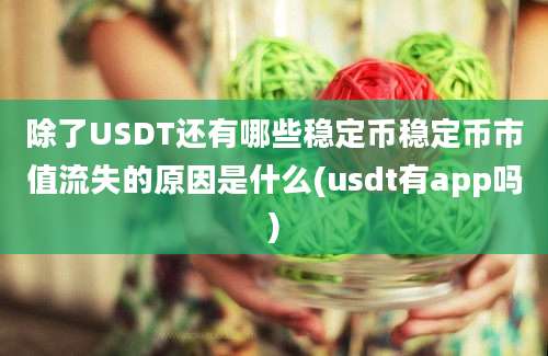 除了USDT还有哪些稳定币稳定币市值流失的原因是什么(usdt有app吗)