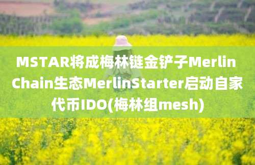 MSTAR将成梅林链金铲子Merlin Chain生态MerlinStarter启动自家代币IDO(梅林组mesh)