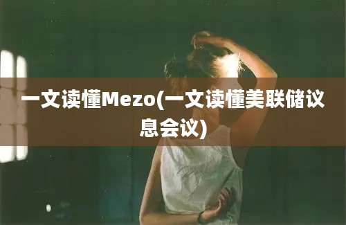 一文读懂Mezo(一文读懂美联储议息会议)