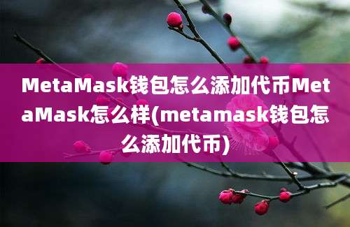 MetaMask钱包怎么添加代币MetaMask怎么样(metamask钱包怎么添加代币)