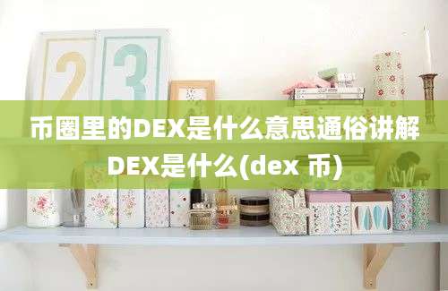 币圈里的DEX是什么意思通俗讲解DEX是什么(dex 币)