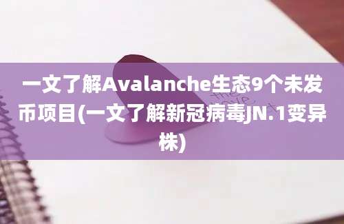 一文了解Avalanche生态9个未发币项目(一文了解新冠病毒JN.1变异株)