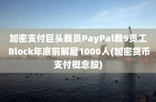 加密支付巨头裁员PayPal裁9员工 Block年底前解雇1000人(加密货币支付概念股)