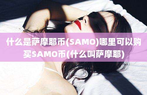 什么是萨摩耶币(SAMO)哪里可以购买SAMO币(什么叫萨摩耶)