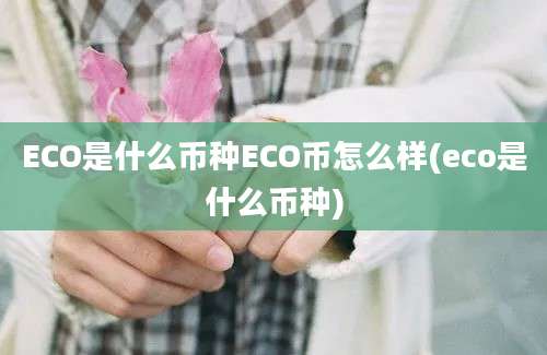 ECO是什么币种ECO币怎么样(eco是什么币种)