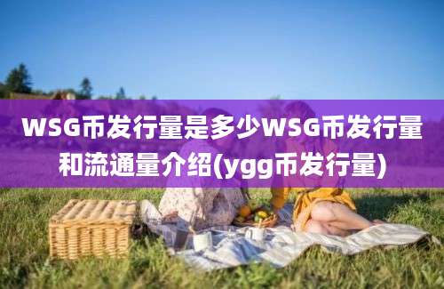 WSG币发行量是多少WSG币发行量和流通量介绍(ygg币发行量)