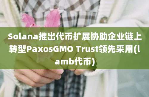 Solana推出代币扩展协助企业链上转型PaxosGMO Trust领先采用(lamb代币)