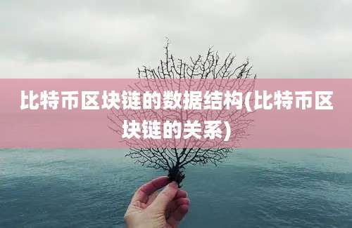 比特币区块链的数据结构(比特币区块链的关系)