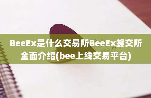 BeeEx是什么交易所BeeEx蜂交所全面介绍(bee上线交易平台)