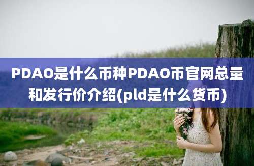 PDAO是什么币种PDAO币官网总量和发行价介绍(pld是什么货币)