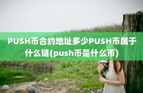 PUSH币合约地址多少PUSH币属于什么链(push币是什么币)