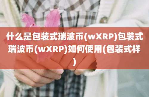 什么是包装式瑞波币(wXRP)包装式瑞波币(wXRP)如何使用(包装式样)