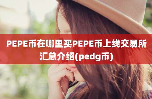 PEPE币在哪里买PEPE币上线交易所汇总介绍(pedg币)