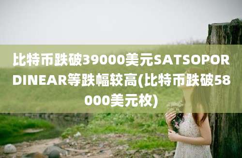 比特币跌破39000美元SATSOPORDINEAR等跌幅较高(比特币跌破58000美元枚)