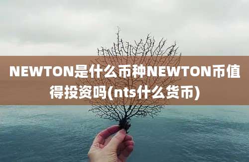 NEWTON是什么币种NEWTON币值得投资吗(nts什么货币)