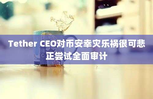 Tether CEO对币安幸灾乐祸很可悲正尝试全面审计