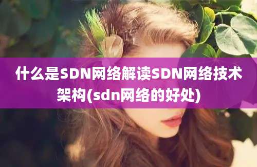 什么是SDN网络解读SDN网络技术架构(sdn网络的好处)