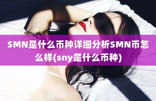 SMN是什么币种详细分析SMN币怎么样(sny是什么币种)