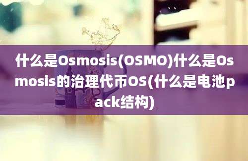 什么是Osmosis(OSMO)什么是Osmosis的治理代币OS(什么是电池pack结构)