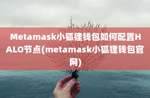 Metamask小狐狸钱包如何配置HALO节点(metamask小狐狸钱包官网)